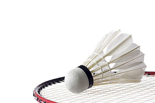 选择性买断 选择性买断