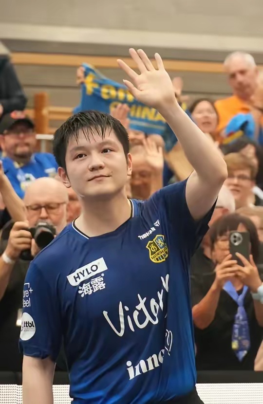 观赏性的赛 观赏性的赛